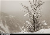 بارش برف در منطقه اشکور رحیم آباد- گیلان