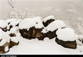بارش برف در منطقه اشکور رحیم آباد- گیلان