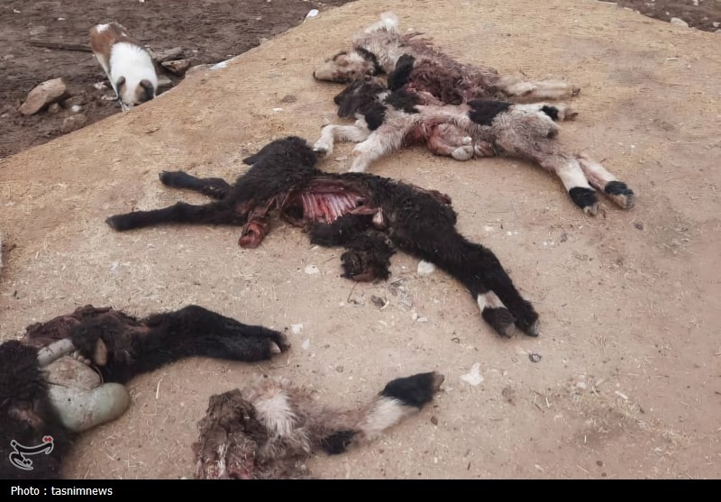 اخبار استان کهگیلویه و بویراحمد , پایش و نظارت در محیط زیست ,