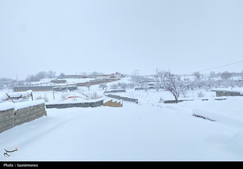 اخبار استان کهگیلویه و بویراحمد , 