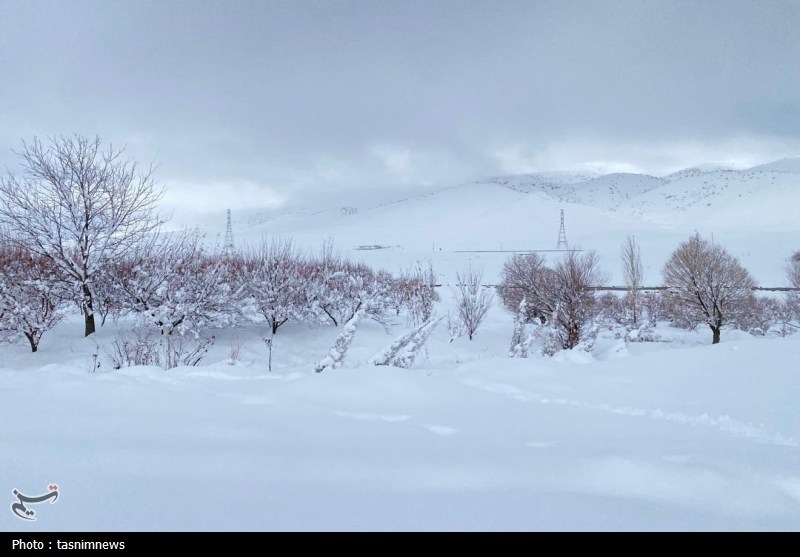 اخبار استان کهگیلویه و بویراحمد , 