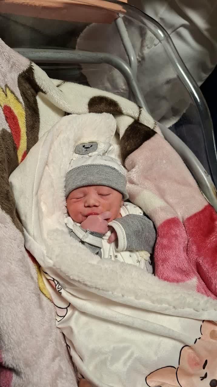 اخبار استان زنجان , اخبار زنجان ,