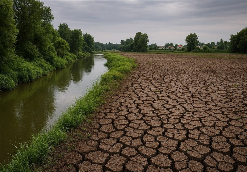 اخبار رشت , نظام مسائل استان گیلان , اخبار استان گیلان , استاندار گیلان ,