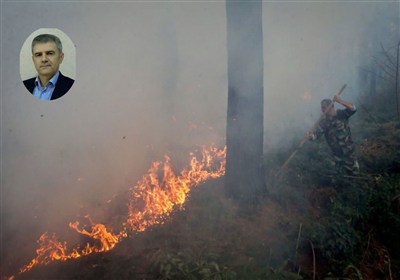 واکاوی علل انسانی و اقلیمی آتش‌سوزی‌های جنگل‌های هیرکانی/ طبیعت مقصر نیست!