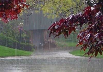 هواشناسی ایران|بارش باران در شمال و شمال غرب کشور