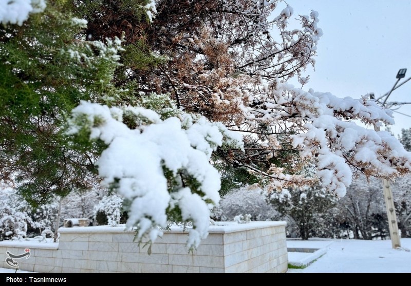 اخبار استان خراسان شمالی , 