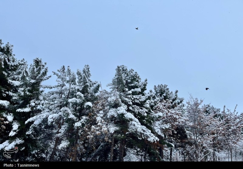 اخبار استان خراسان شمالی , 