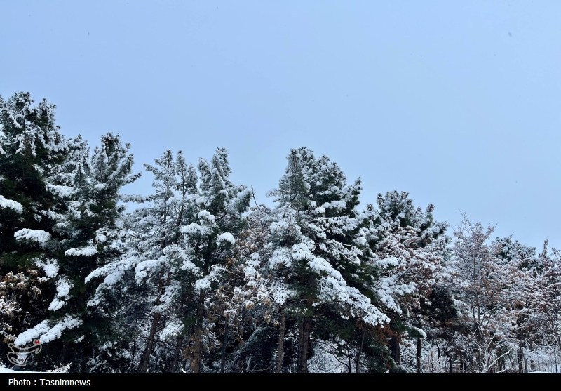 اخبار استان خراسان شمالی , 