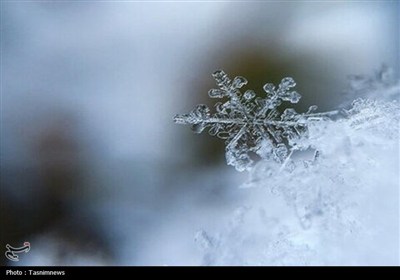 ورود سامانه بارشی به همدان/برف، مه و کولاک در راه است