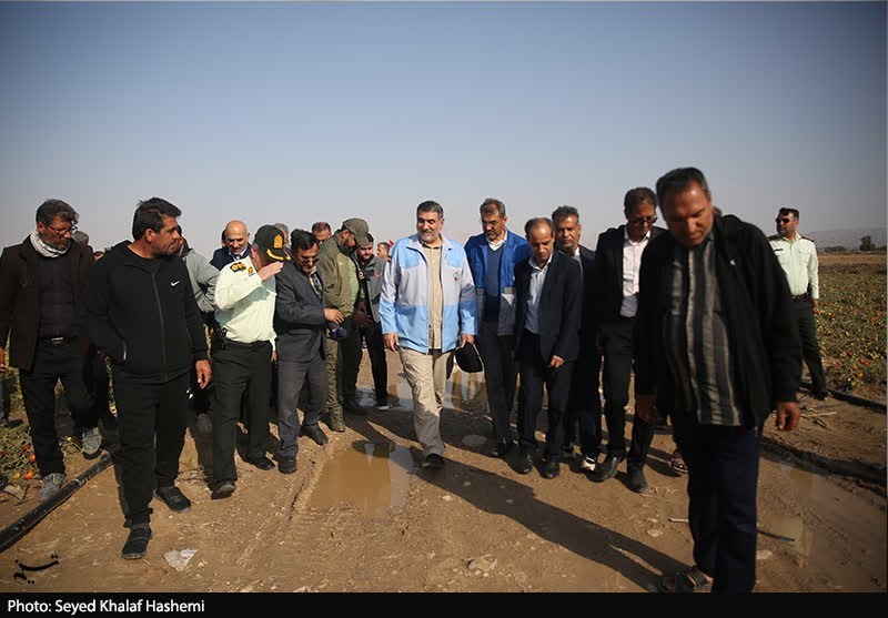 اخبار استان بوشهر , کشاورزی , اخبار بوشهر , 