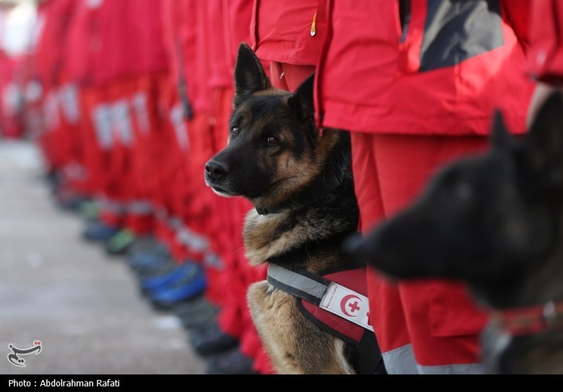 اخبار استان همدان ,