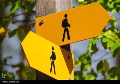 یک سال بلاتکلیفی؛ مدیریت ورزش سنندج قربانی وعده‌های بی‌سرانجام؟