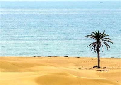 راهنمای سفر به شهرهای جنوبی در فصل خنک؛ پرواز، اقامت و دیدنی‌ها