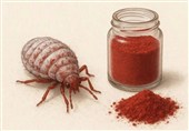 استفاده از رنگ قرمز تهیه‌شده از پوست حشرات در محصولات غذایی