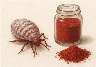 استفاده از رنگ قرمز تهیه‌شده از پوست حشرات در محصولات غذایی