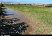 خسارت سیل به روستاهای فاریاب - کرمان