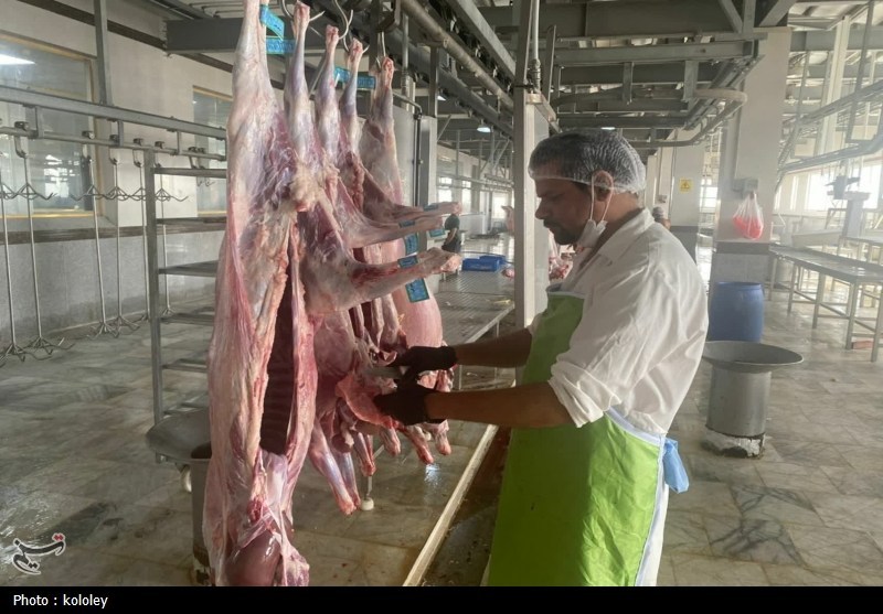 اخبار استان بوشهر , قیمت گوشت , اخبار بوشهر , 