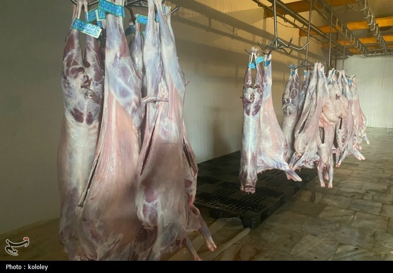 اخبار استان بوشهر , قیمت گوشت , اخبار بوشهر , 