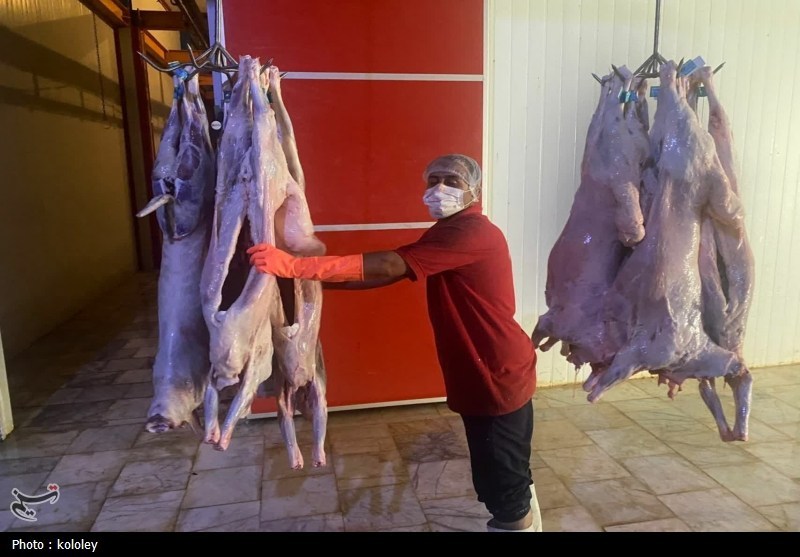 اخبار استان بوشهر , قیمت گوشت , اخبار بوشهر , 