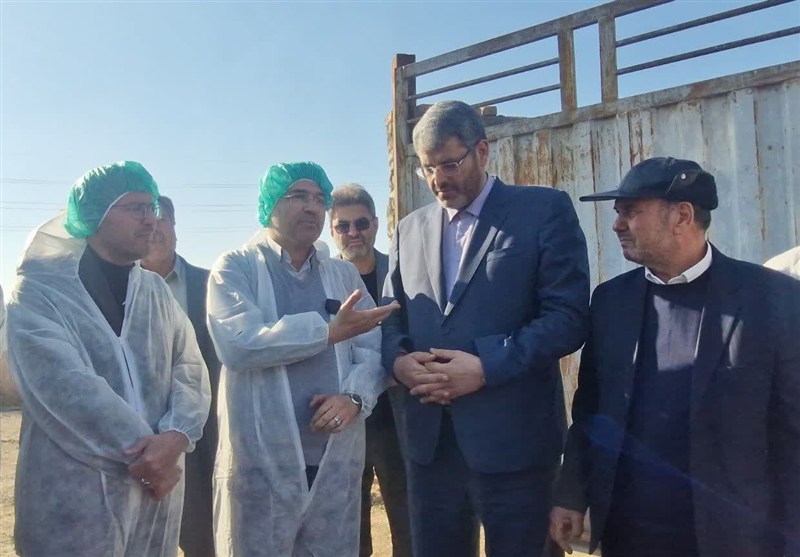 اخبار اسلامشهر , مجلس شورای اسلامی ایران , تولید ملی , 