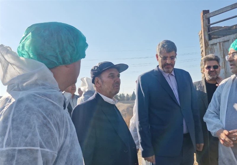 اخبار اسلامشهر , تب برفکی , تولید ملی , 