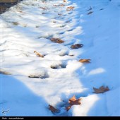 طبیعت برفی روستای پلکانی کنگ در خراسان رضوی