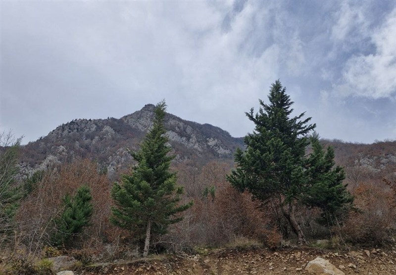 وزش باد شدید در اشکور رحیم آباد گیلان