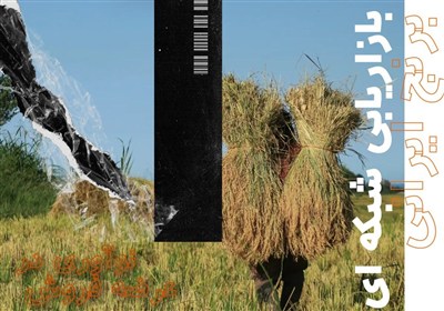 فروش شبکه‌ای برنج ایرانی در شالی گستر عطرآگین