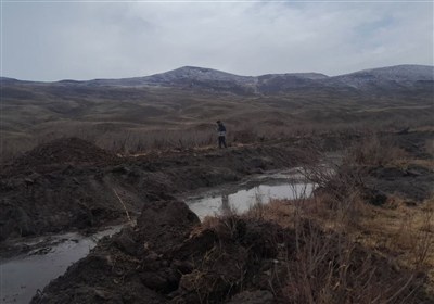 تاراج حیات در قرنقو؛ سکوت محیط‌زیست هشترود پای تابوت درختان گز