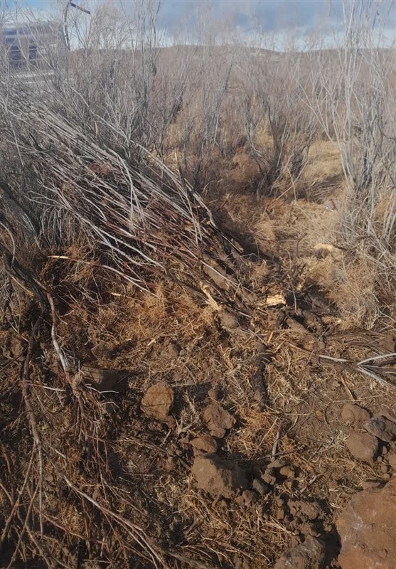 پایش و نظارت در محیط زیست , آذربایجان شرقی , اخبار استان آذربایجان شرقی , آلودگی های زیست محیطی , 