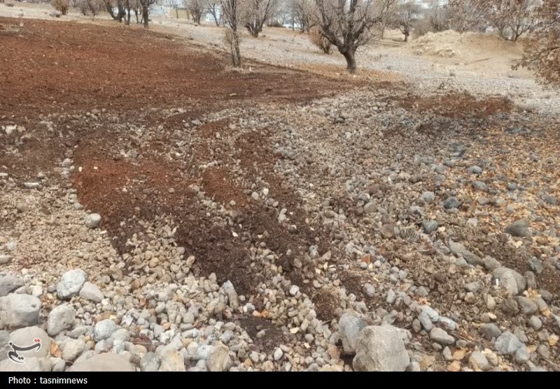 سازمان منابع طبیعی , پایش و نظارت در محیط زیست ,