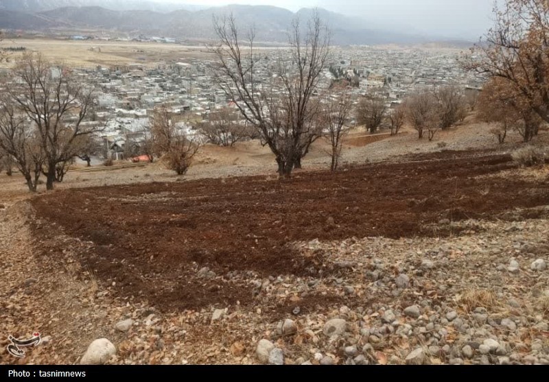 سازمان منابع طبیعی , پایش و نظارت در محیط زیست ,