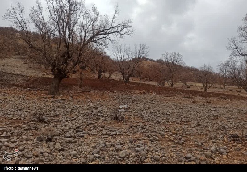 سازمان منابع طبیعی , پایش و نظارت در محیط زیست ,