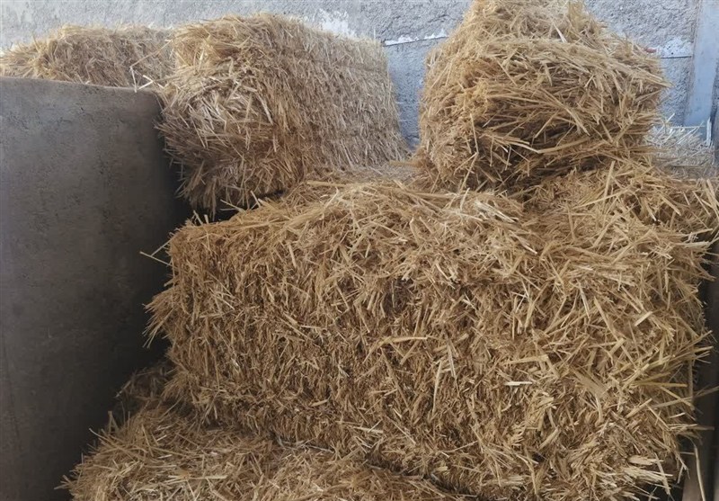 اخبار اسلامشهر , کشاورزی , گرانفروشی , تولید ملی ,