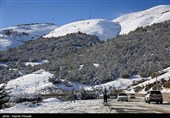 بارش برف در کرستان