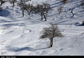 بارش برف در کرستان