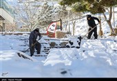 بارش برف در کرستان