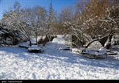 بارش برف در کرستان