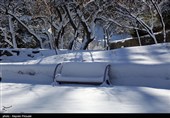 بارش برف در کرستان