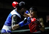 فینال رقابت‌های بوکس قهرمانی کشور
