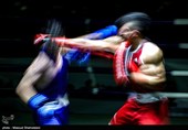فینال رقابت‌های بوکس قهرمانی کشور