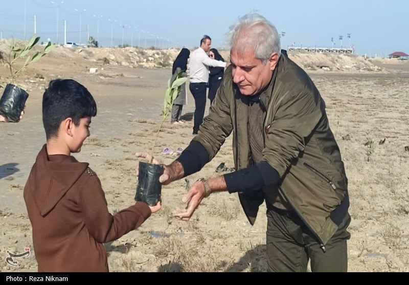 سردار قاسم سلیمانی , اخبار استان بوشهر , روز درختکاری , 