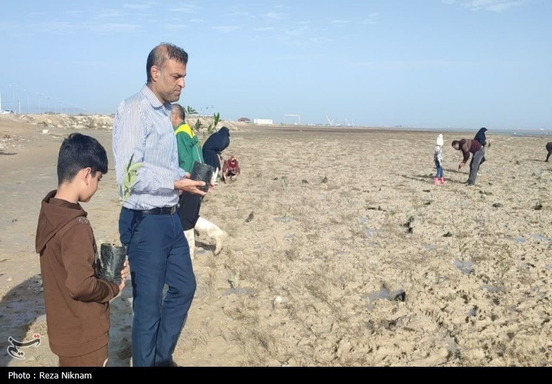 سردار قاسم سلیمانی , اخبار استان بوشهر , روز درختکاری , 