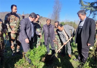 پویش «حاج قاسم»؛ کاشت 63 نهال در هر شهرستان گیلان