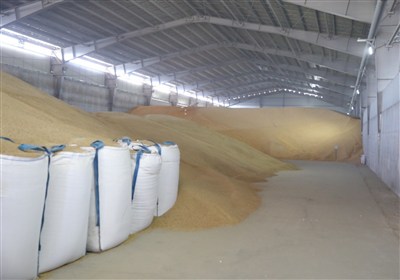 ذخیره 80 هزار تنی نهاده‌های دامی در بندر کاسپین