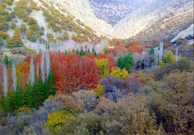 image result for ?تصویر زیبا زیبا زیبا?